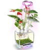 Aeroponics Growing System DIY Kit with Plant Grow Light for