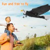 Bird Plane Toy 2 Channels Broken Resistant Remote Control Bird