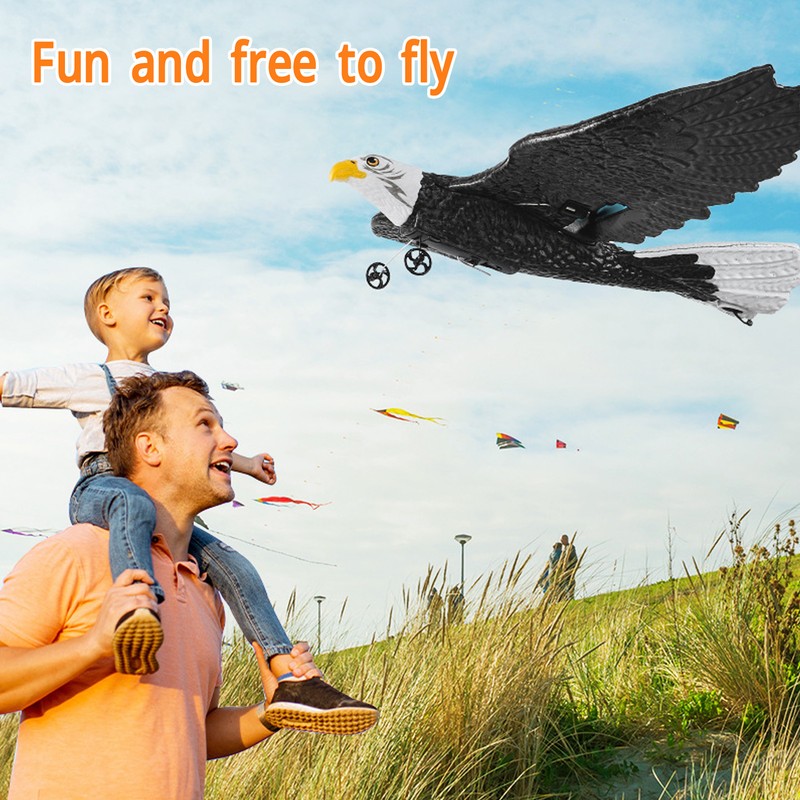 Bird Plane Toy 2 Channels Broken Resistant Remote Control Bird