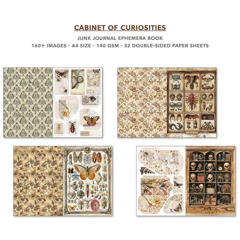 Ciao Bella Cabinet Of Curiosities Ephemera Book & Junk Journal