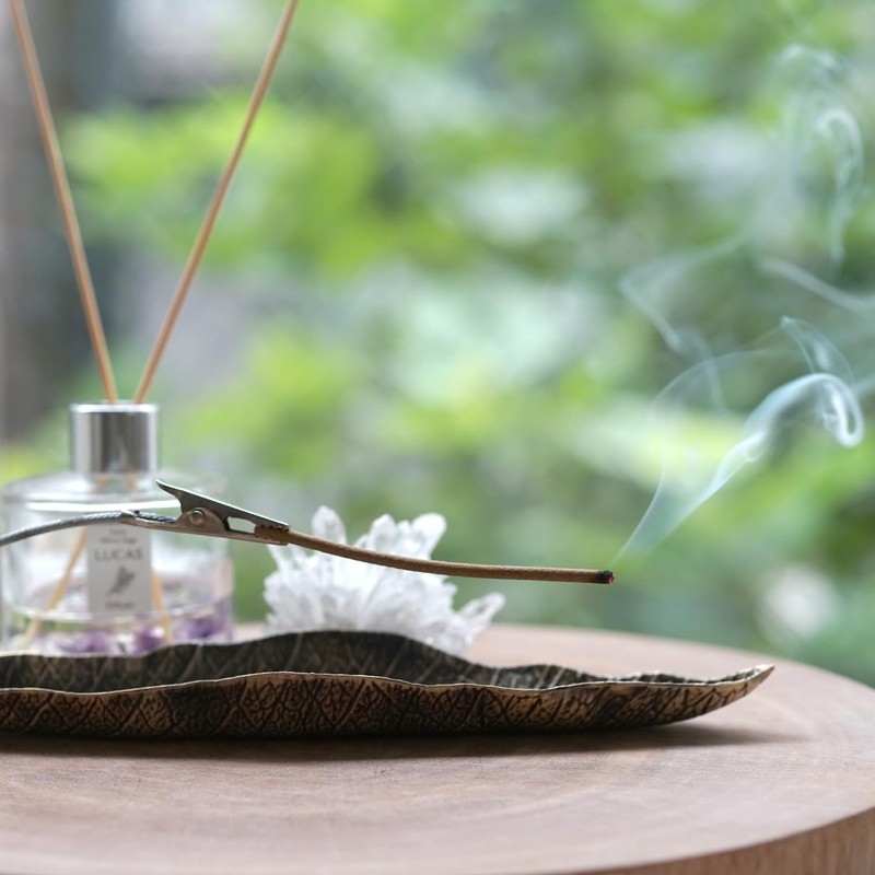 LUCAS White Sage Purifying Incense (White Sage [Stick Type]) Purifying