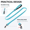 PUPTECK Reflective Dog Leash with Comfortable Padded Handle Durable Nylon