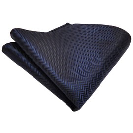 TigerTie Designer Pocket Square in Patterned - Cloth Size 25 x 25 cm, Navy Navy Blue