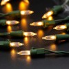 Home Accents Holiday 100 LED Mini Lights Mini With Green