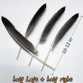 50pcs Dark Grey Feathers 10~12 Inches Long,Beautiful Feather for Crafts 26-31CM,Big Size Bilateral Natural Goose Feather,for Wedding Dress and Party Decoration,DIY Fabricating Handicraft Article (Dark Grey)