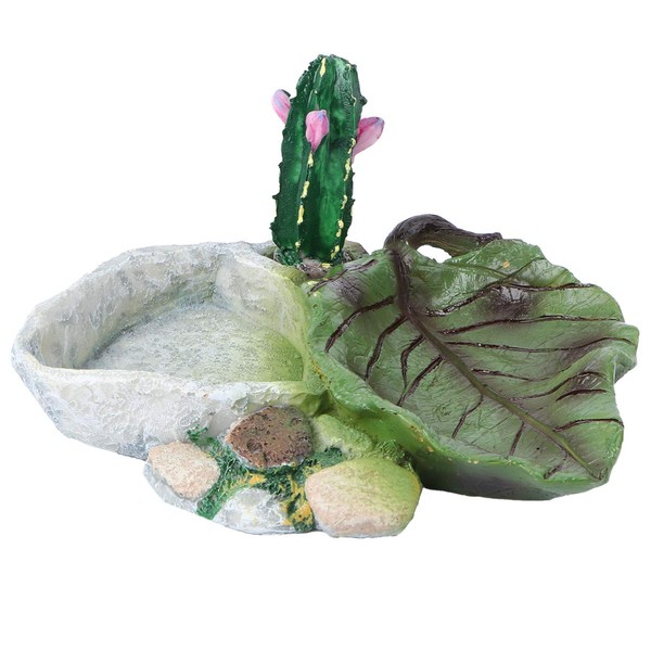 POPETPOP Reptile Water Bowl Resin Reptile Food Bowl : Cactus