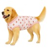 PET Glam Recovery Suit for Dogs Cats, After Surgery, Alternative