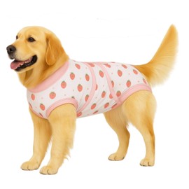 PET Glam Recovery Suit for Dogs Cats, After Surgery, Alternative E-Collar Dog CAT. PET Shirt Breathable Abdominal Wounds, Neuter Cotton, Prevent Licking Onesie Surgical (Fruit, L)