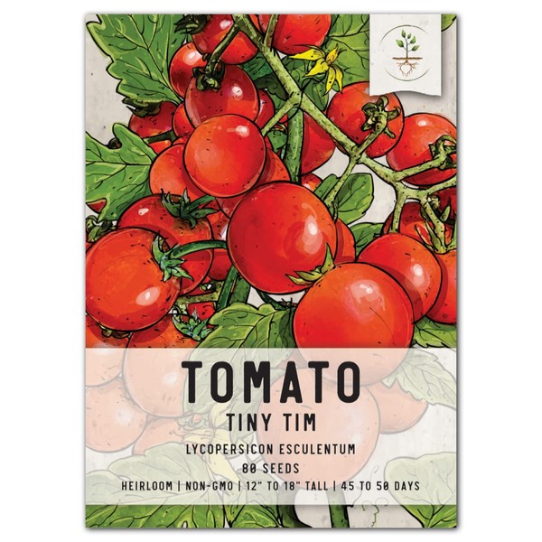 Seed Needs, Tiny Tim Tomato Seeds - 80 Heirloom Seeds for Planting Lycopersicon esculentum - Non-GMO & Untreated, Grows 1' Tall (1 Pack)