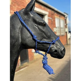 Hi-Viz Reflective Rope Headcollar with Lead Rope Se Fully Adjustable (Pony, Royal Blue)