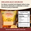 Darsa Organics Gram Flour - 2 lb Besan Flour, USDA