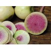 250+ Radish Seeds- Watermelon- Heirloom Variety by Ohio Heirloom Seeds