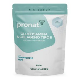 Suplemento Glucosamina  Colágeno Tipo 2 (300g) Sin Sabor                                                                                              