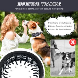 Duckygoo - Collar de entrenamiento para perros sin tirones, collar ajustable de martingala con hebilla de metal resistente y nailon reflectante ensanchado para perros pequeños, medianos y grandes, uso