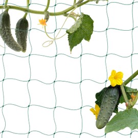 Relaxdays Trellis Net for Greenhouse, 200 x 1000 cm, Trellis for Cucumbers, Tomatoes, Mesh Size 10 cm, Greenhouse Net, Green