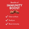 Immunity Boost 10mL Essential Oil Blend by Revive Essential Oils
