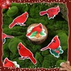 Photect 8 Pcs Cardinal Bird Screen Door Magnets Flexible Decorative