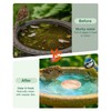 Bird Bath Purification Disc Pure Copper Backyard Outside Solar Power