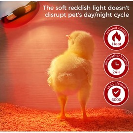 MISDOOD 250W Heat Lamp Red Infrared Bulbs, Flood Light Heat Lamp Bulb for Food Service, Brooder Bulb, Chicks, Pet, Bathroom, Light Therapy Use, Glass, 2 Pack