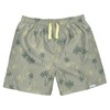 Gerber Boys' Toddler 2-Pack Swim Trunks, Palm Tree