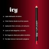 Set viral Lapiz Delineador Labial Mate IVY Lip Oil Bissu