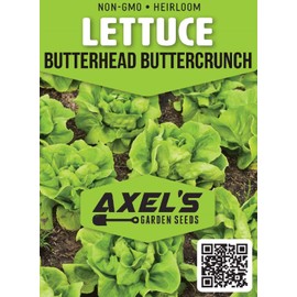 Lettuce Seeds for Planting - Plant & Grow Buttercrunch Lettuce Indoor/Outdoor Hydroponic Home Vegetable Gardens - 500 Heirloom Non GMO Seeds per Packet with Instructions, 5 Packets