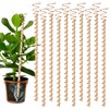10pcs Electroculture Plant Stakes, 13.5''/17" Available Copper Coil Wire Antennas