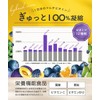 【高吸収×持続型のW 鉄分 】 1日分の鉄分210% サプリメント 60日分 葉酸 亜鉛 マルチビタミン 葉酸サプリ