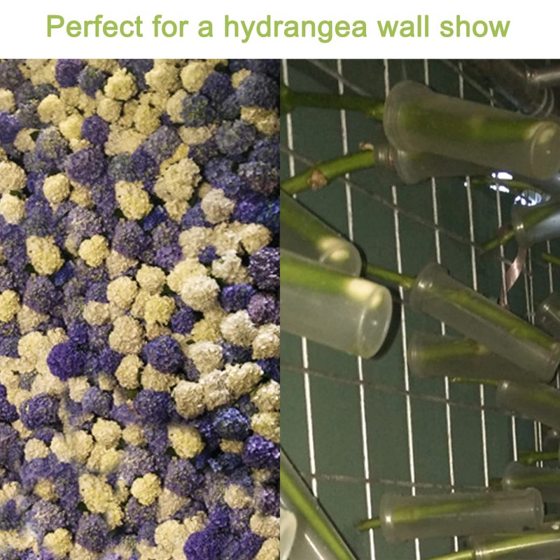 WANDIC Flower Water Tubes,20pcs Sunflower Hydrangea Preserved White Large Transparent