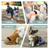 Female Dog Diapers 5Pcs - Premium Reusable Diapers for Doggie