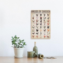 Healvian Chicken Knowledge Metal Tin Sign Chicken Breeds The World Infographic Retro Poster Club Cafe Bar Home Kitchen Wall Decor