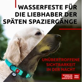 WAUDOG Halsband Hund Wasserfest Verstellbares Hundehalsband Große Hunde/Hundehalsband Mittelgroße Hunde Hundehalsband Kleine Hunde Halsbänder & Welpen Halsband/Metall Verschluss
