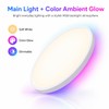 HomeKit Smart LED Ceiling Lights RGBCW Color Changing Ceiling Light