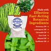 Fresh Cab Spiders Deterrent - Indoor Botanical Pest Deterrent -