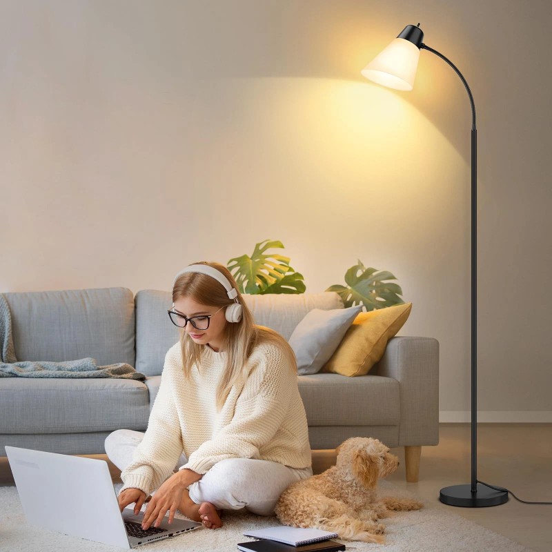 Coucrek Floor Lamp for Living Room, Adjustable Gooseneck Standing with