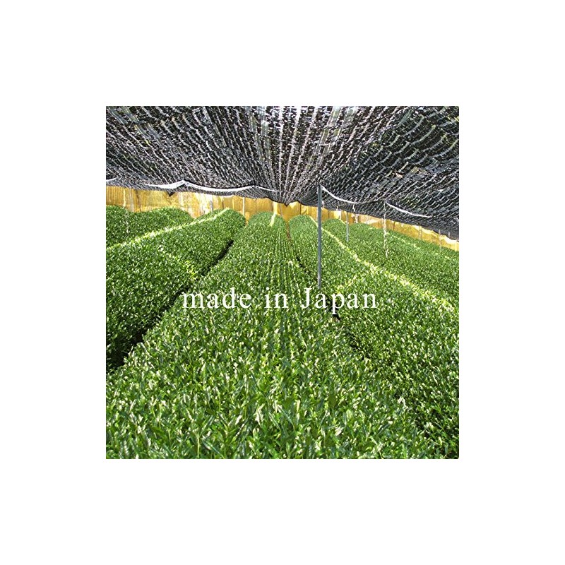 Organic Organic Matcha Tea Premium 1.1 oz (30 g) Honjien
