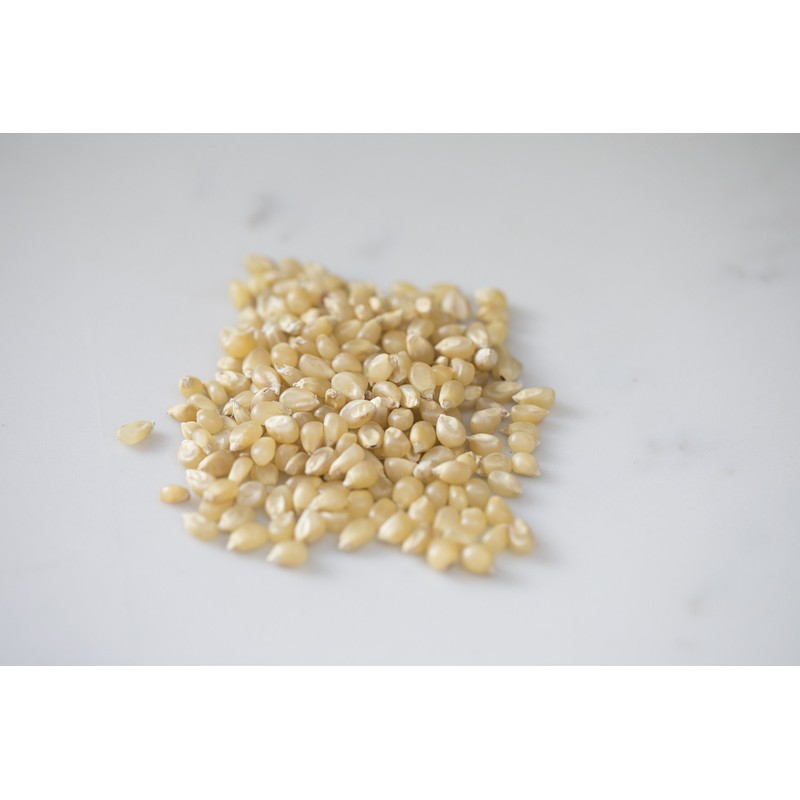 Amish Country Popcorn Medium White Popcorn Kernels, 6LB Bag -