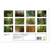 Wonderful World - Forests (Monthly Wall Calendar 2026 16.5" x