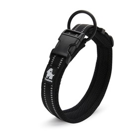 Truelove Dog Training Collar TLC5011 Reflective Premium Buckle Nylon Webbing Pet Dog Collars,High Grade Nylon Webbing No Choke Basic Collars Now Available (XS, Black)