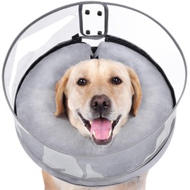BARKLESS Large Protective Blow up Collar for Post Surgery Recovery, Inflatable Donut Cone with Detachable Clear Shield