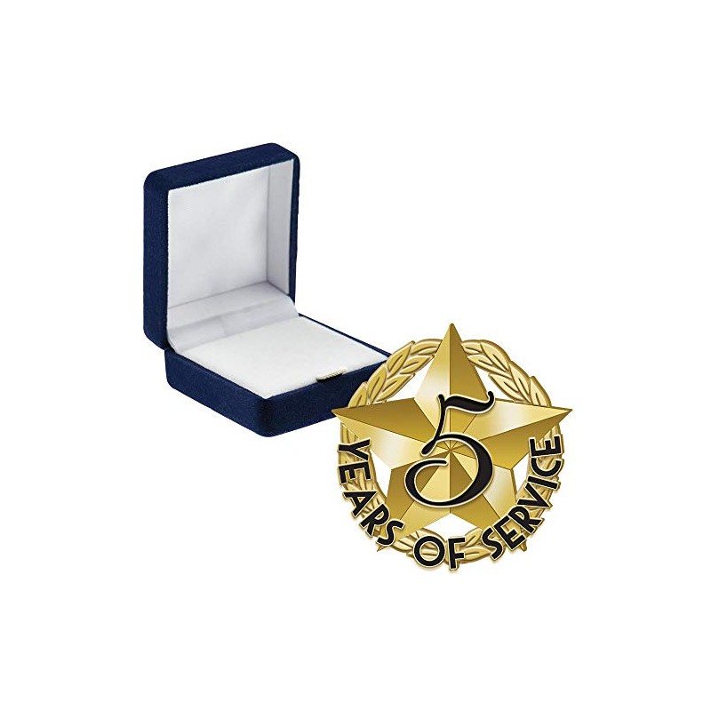 5 Years Of Service Pins, 5 Years Of Service Pin