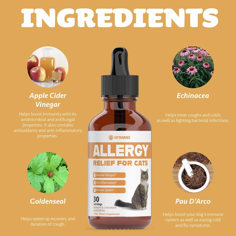 Allergy Relief for Cats | Helps to Naturally Support Allergy