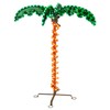 Deluxe Tropical LED Rope Light Palm Tree with Lighted Holographic