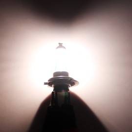 DZG Super White Bulbs