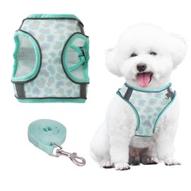 PawSailor Anti-Pull Dog Harness and Lead Set, Breathable, Adjustable, Reflective with Floral Print, Soft Padded Vest Harness for Medium Dogs, Green, L