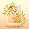 Kameyama Flower Fuzzy Osmanthus Smoke Smell Incense, Value Large, Approx.