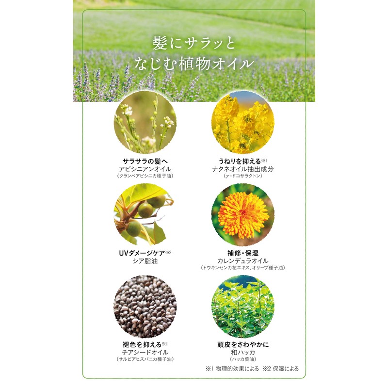 Natural Island Japanese Peppermint Refreshing UV Treatment Oil, 2.8 fl