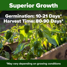 HOME GROWN HOME GROWN Jalapeno Seeds, Early Pepper Variety - 2 Pack - High Germination, Non-GMO Heirloom Seeds - 258 Hot Pepper Seeds for Planting - Easy to Grow Jalapeno Seeds for Enthusiast (Capsicum annuum)