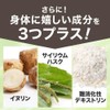 サラシア サプリ 31粒 約1ｹ月分 サラシア末換算 約30000mg イヌリン サイリウム 難消化性デキストリン 配合