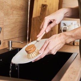 HOFMEISTER® Replacement Head for Wooden Dish Brush, Length 23 cm, Real Fibre, Small Head 4.3 cm, Robust, Made in Europe, Heat Resistant Washing Brush, Brush Head Can Be Replaced, Made in EU